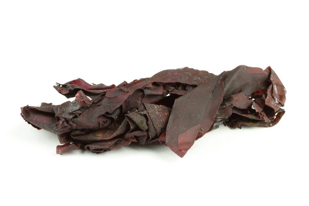 Dried irish dulse seaweed isolated over white.