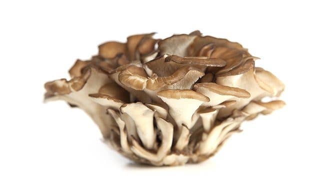 Maitake Mushrooms - Credit MushroomCouncil.com